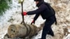 У Криворізькому районі збили ракету Х-59 – Повітряне командування «Схід» 