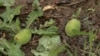 16x9 Image