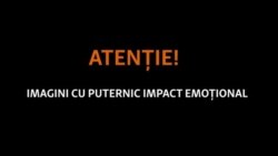 „Lecția” talibanilor pentru presupușii răufăcători: trupuri spânzurate în Herat