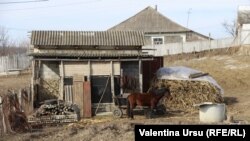 Elveția din Hâncești