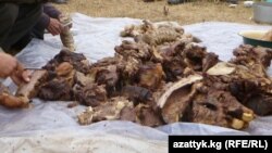 Кыргызстандагы тойлордун бири: жылкы этин кыя кесип...