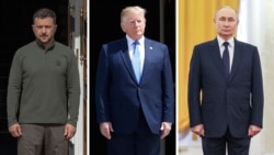 Владимир Зеленский, Дональд Трамп и Владимир Путин. Это комбинированная фотография - но встретятся ли три политика лицом к лицу?