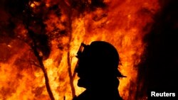 Според експерти пожарите в Австралия са безпрецедентни 