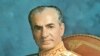 მოჰამად რეზა ფეჰლევი