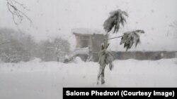 სოფელი გურიანთა, ოზურგეთის მუნიციპალიტეტი 