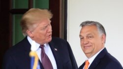 Дональд Трамп и премьер-министр Венгрии Виктор Орбан, архивное фото