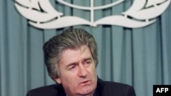 Radovan Karadžić