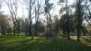 Zemunski park koji potražuju potomci Milana Nedića